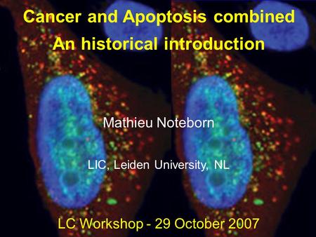 Cancer and Apoptosis combined An historical introduction Mathieu Noteborn LIC, Leiden University, NL LC Workshop - 29 October 2007.