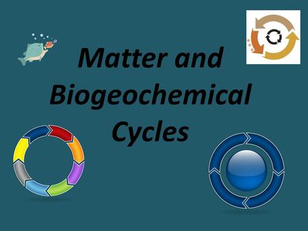 Matter and Biogeochemical Cycles