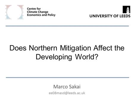 Does Northern Mitigation Affect the Developing World?