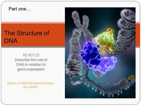 Take me to NZQA Documents relating to this standard AS 90715 Describe the role of DNA in relation to gene expression The Structure of DNA Part one…