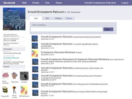 Smooth Endoplasmic Reticulum is “The Synthesizer”