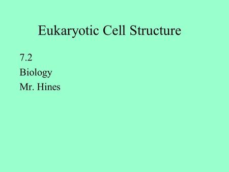 Eukaryotic Cell Structure