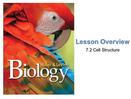 Lesson Overview 7.2 Cell Structure.