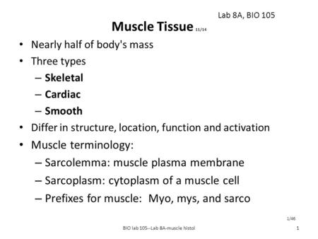 Muscle Tissue 11/14 Nearly half of body's mass Three types – Skeletal – Cardiac – Smooth Differ in structure, location, function and activation Muscle.