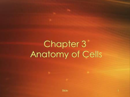 Chapter 3 Anatomy of Cells