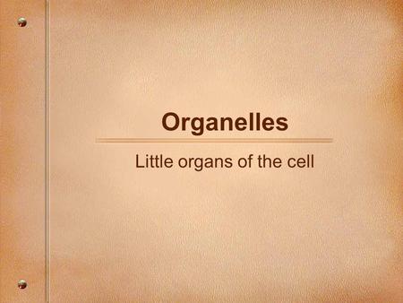 Organelles Little organs of the cell. Endoplasmic Reticulum E.R. is a complex system of membranes. These membranes help to transport materials around.