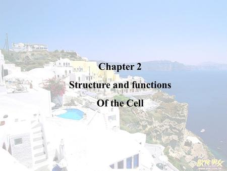 Chapter 2 Structure and functions Of the Cell. Nucleus: For storage of genetic information.