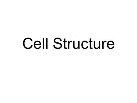 Cell Structure. Revision AnimalPlant Animal Cell.