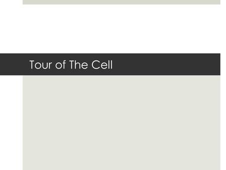 Tour of The Cell. Learning Targets  I can distinguish between prokaryotic and eukaryotic cells  I can draw a prokaryotic cell, a plant cell and an animal.