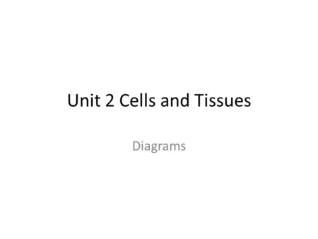 Unit 2 Cells and Tissues Diagrams. © 2012 Pearson Education, Inc. Figure 3.2 Extracellular fluid (watery environment) Sugar group Polar heads of phospholipid.