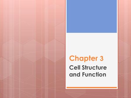 Cell Structure and Function