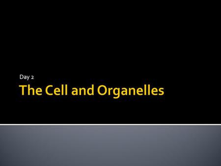 Day 2. The Cell Theory  All living organisms are made up of one or more cells  Cells are the basic unit of all living organisms  All cells come from.