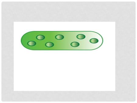 Controls the movement of materials in an out of the cell.