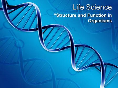 “Structure and Function in Organisms