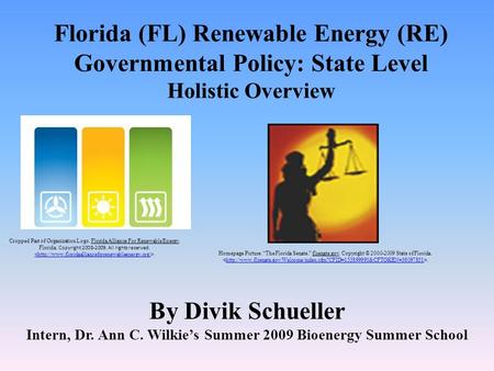 Florida (FL) Renewable Energy (RE) Governmental Policy: State Level Holistic Overview By Divik Schueller Intern, Dr. Ann C. Wilkie’s Summer 2009 Bioenergy.