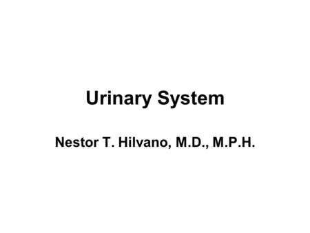 Urinary System Nestor T. Hilvano, M.D., M.P.H..