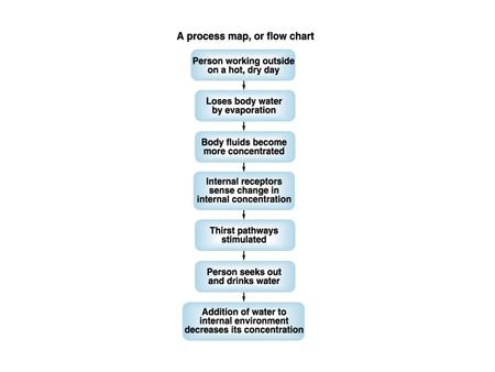  This lesson explains how the kidneys handle solutes.  It is remarkable to think that these fist-sized organs process 180 liters of blood per.