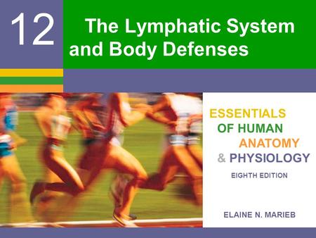 The Lymphatic System and Body Defenses