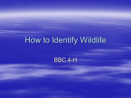 How to Identify Wildlife BBC 4-H. What kind of things do you use to help identify wildlife that you’ve SEEN?  Size, shape  Fur, feathers, scales or.