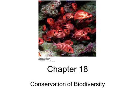 Conservation of Biodiversity