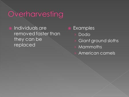  Individuals are removed faster than they can be replaced  Examples › Dodo › Giant ground sloths › Mammoths › American camels.