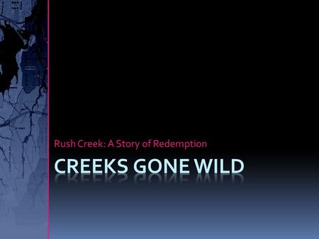 Rush Creek: A Story of Redemption. Arlington Stormwater Division  Stormwater Division of Public Works is:  Engineers  Education  Environmental Compliance.