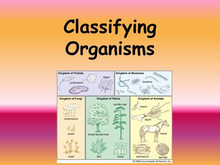 Classifying Organisms