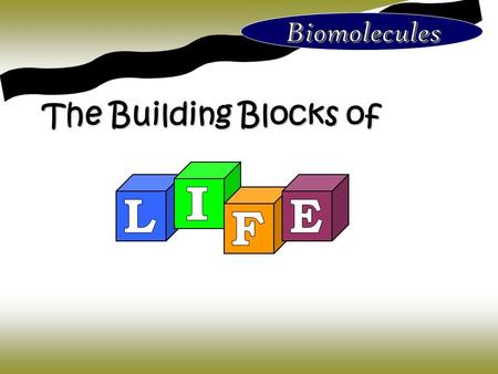 The Building Blocks of. In your table groups make as many observations as you can about the diagram on the left.