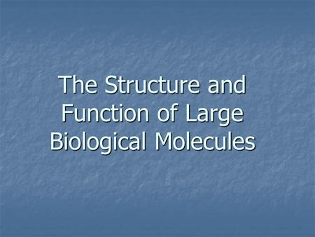 The Structure and Function of Large Biological Molecules