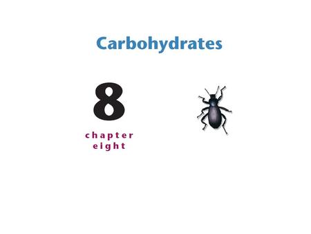 Carbohydrates (also called saccharides) are—on the basis of mass—the most abundant class of biological molecules on Earth. Although all organisms can.