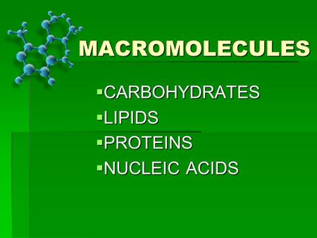 CARBOHYDRATES LIPIDS PROTEINS NUCLEIC ACIDS