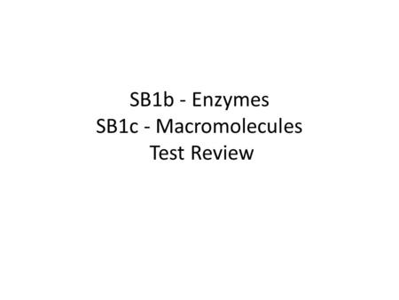 SB1b - Enzymes SB1c - Macromolecules Test Review