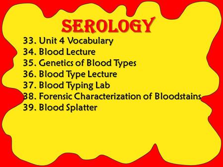 33. Unit 4 Vocabulary USE CHAPTER 12