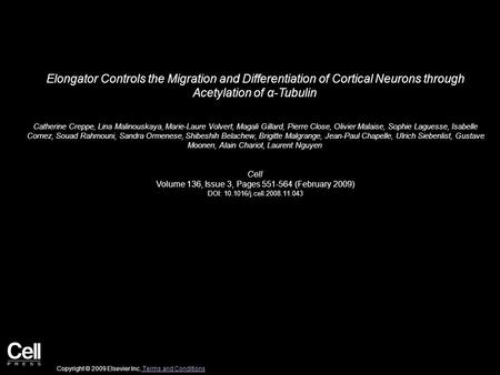 Elongator Controls the Migration and Differentiation of Cortical Neurons through Acetylation of α-Tubulin Catherine Creppe, Lina Malinouskaya, Marie-Laure.