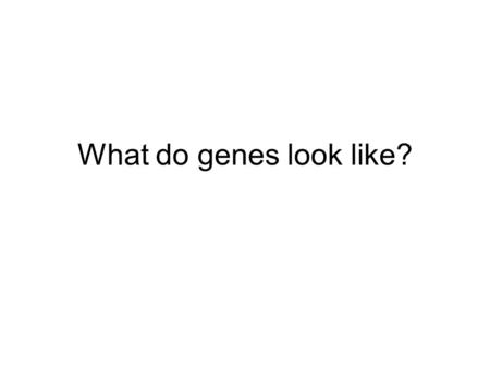 What do genes look like?.