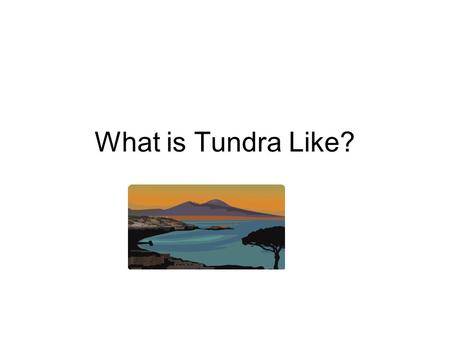 What is Tundra Like?. Three Types Arctic tundra occurs in the far Northern Hemisphere, north of the taiga belt; Antarctic tundra on subantarctic islands,