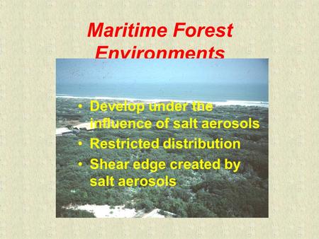 Maritime Forest Environments Develop under the influence of salt aerosols Restricted distribution Shear edge created by salt aerosols.