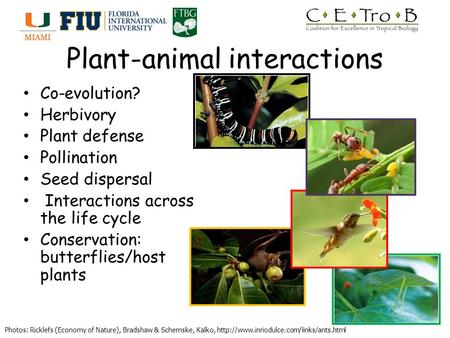 Plant-animal interactions Co-evolution? Herbivory Plant defense Pollination Seed dispersal Interactions across the life cycle Conservation: butterflies/host.