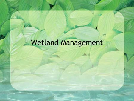 Wetland Management. Wetlands Premier, underrated, overlooked natural resource Provide habitat to numerous species of plants and animals.