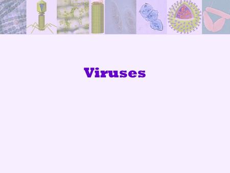 Viruses.