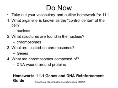 Objectives: Describe the overall structure of DNA