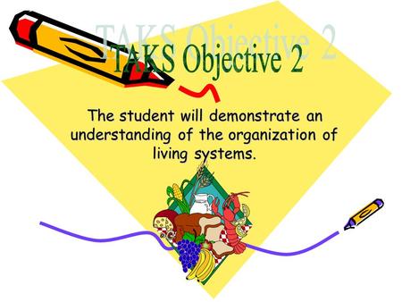 TAKS Objective 2 The student will demonstrate an understanding of the organization of living systems.