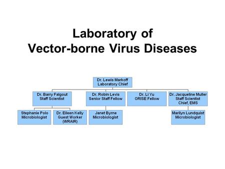 Laboratory of Vector-borne Virus Diseases. Regulatory responsibilities of LVVD personnel Vaccines to prevent illnesses caused by vector-borne viruses: