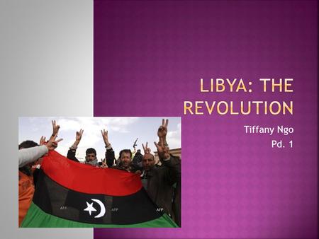 Tiffany Ngo Pd. 1.  Muammar Gaddafi (1969-2011)  Born: June 1969  Died: October 20, 2011  Political Party: Arab Socialist Union  Religion: Islam.