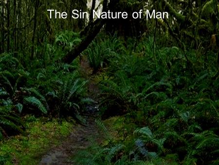 The Sin Nature of Man.