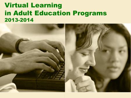 Virtual Learning in Adult Education Programs 2013-2014.