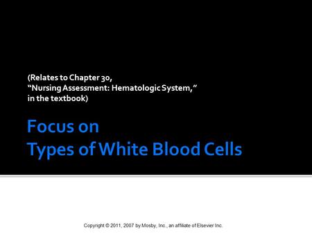 Focus on Types of White Blood Cells