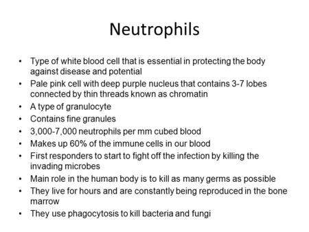 Neutrophils Type of white blood cell that is essential in protecting the body against disease and potential Pale pink cell with deep purple nucleus that.