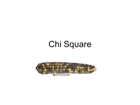 Chi Square.