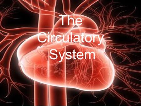 The Circulatory System